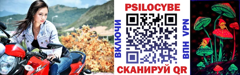 Псилоцибиновые грибы Cubensis  Усинск 